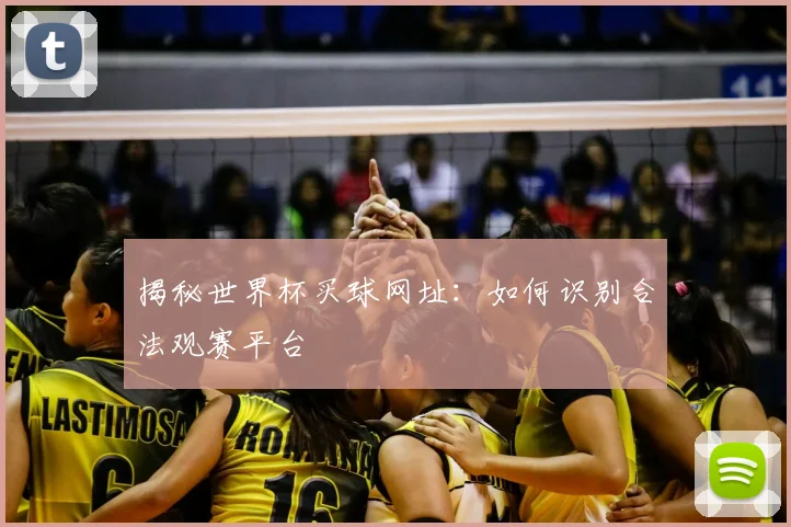揭秘世界杯买球网址：如何识别合法观赛平台