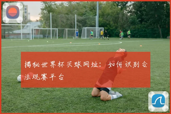 揭秘世界杯买球网址：如何识别合法观赛平台