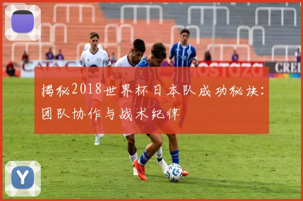 揭秘2018世界杯日本队成功秘诀:团队协作与战术纪律