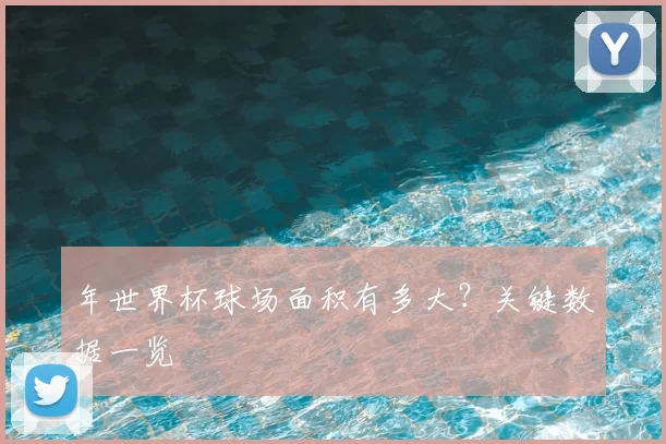 年世界杯球场面积有多大？关键数据一览