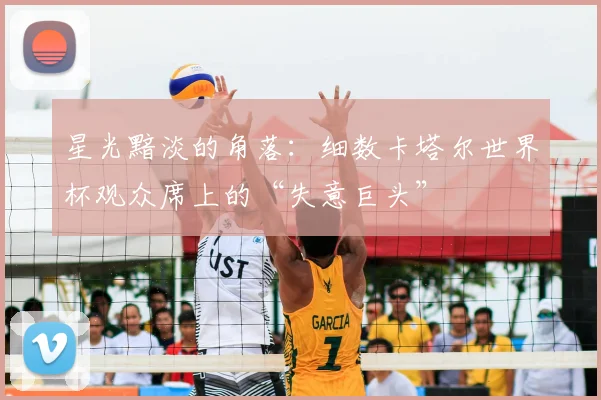 星光黯淡的角落：细数卡塔尔世界杯观众席上的“失意巨头”