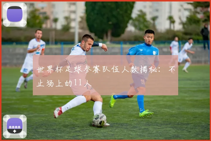 世界杯足球参赛队伍人数揭秘:不止场上的11人