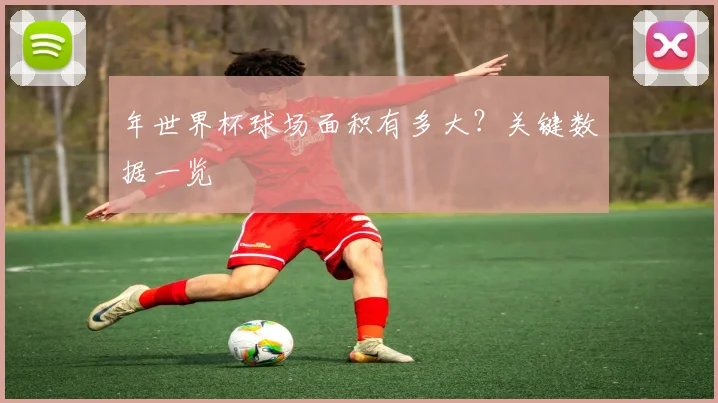 年世界杯球场面积有多大？关键数据一览